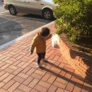 봉봉이 놀이터 이미지