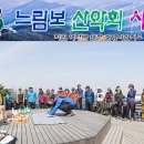 느림보 이미지