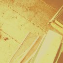 강원도 횡성군 횡성읍 화성로 이미지