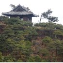 거북이동산 이미지