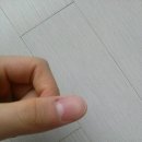 반달네일 이미지