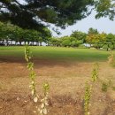 퐁당마켓 이미지