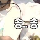 이ㄷ따 이미지