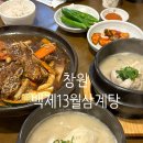 사파동417 | 창원 사파동 삼계탕 먹고 싶은 날 - 백제 13월 삼계탕