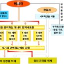 ​항암 면역 증강제-메시마-에프액 20ml 이미지