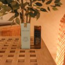 연우사이언스 | 에스티 로더 신제품 갈색병 아이세럼 솔직 후기 ! 롯데백화점 8월 팝업 이벤트에서 만난 눈가 집중케어...