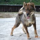 안녕하세요 이미지