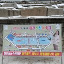 가곡낚시터 | [화천 산천어축제] 2025년 1월