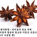 독감에 대한 모든 것 & 노무현 대통령의 사스 철통방어를 기억하며 이미지