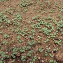 이가네농장 이미지