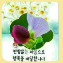 설레다 이미지