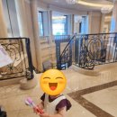 [도쿄 여행] 오다이바 여행 후기 - 다이버시티 유니콘건담 푸드코트 맛집 / 덱스 브런치전문점 Bills...