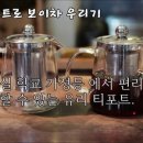 동정보이차