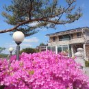 길안천 돌담집 이미지