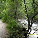 조무락계곡 이미지