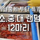 투타 소. 중. 대. 랜덤 특가 이미지