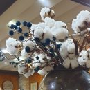 죽백농원 이미지