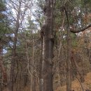 회원동126 이미지