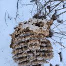 화이팅공인중개사사무소 이미지