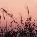 바람부는날