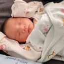 장인미역 이미지