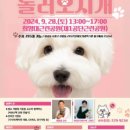 멍더랜드 이미지