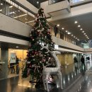 새빛안과의원 이미지