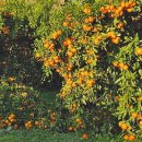 호근동-5 이미지