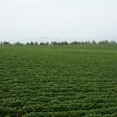 바람의바다 이미지