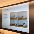 대구과학대학교 | 치료 전공 위에 쌓아 올린 필라테스 전문 교육, 대구과학대학교 물리치료학과 필라테스 자격증 과정 이야기