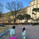 춘천 숙소 추천 엘리시안강촌 리조트 아이들과 1박하고 왔어요(잭슨나인스비교,가격, 부대시설 등등)