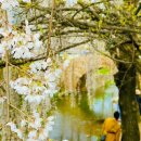 영산 해설사의 집 이미지