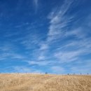 동막골목장 이미지