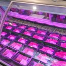 한우특가 신내점 이미지