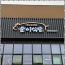 디자인이팝