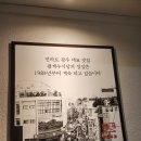 옛날광주식당 | 광주 충장로 가성비 맛집ㅣ월계수식당 본점 내돈내산 후기