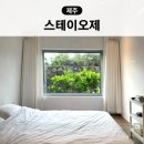 애월 현스테이 | 제주도 독채펜션 오늘도제주 스테이오제 제주 서쪽 한경면 감성 숙소