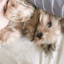 NR-18[동주로]-하-66 | 블로거라면 하나쯤은 있어야 할