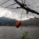 혜성 당구장 이미지