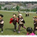 풍호체육공원 이미지