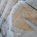 한라세탁 이미지