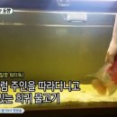 워터독 이미지