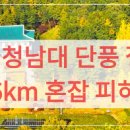 청남대사우나 | 청주 청남대 단풍 절정! 주차장 6km 혼잡 피하는 꿀팁 및 필수 예약 정보 총정리