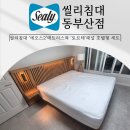부산호텔노동조합 | 씰리부산 호텔형 침대세트 후기, 에오스2+토르테 조합 설치완료!