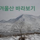 산 이미지