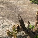 가래올 황토이야기 이미지