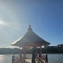 세븐일레븐 인천산곡한화 | [후쿠오카 2박 3일 여행] 퇴사하고 떠나는 첫 일본 후쿠오카 여행(첫 공항노숙)