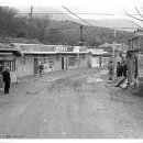 다래다방 이미지