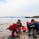 바다이야기PC 이미지