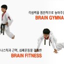 브레인태권도 이미지